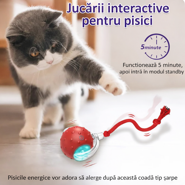 Mingii Jucăușe pentru Pisici
